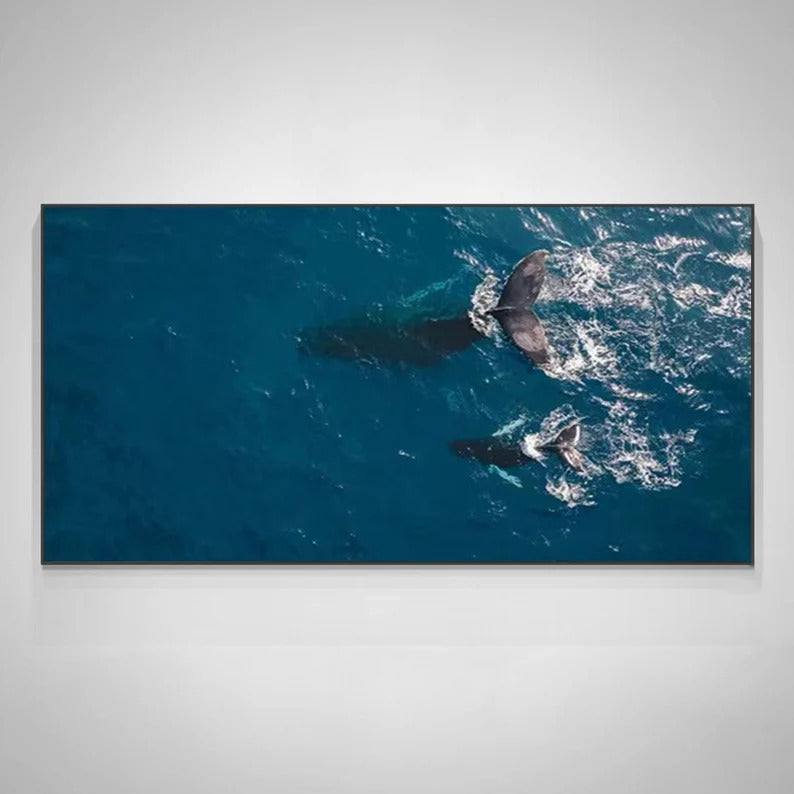 Wandering Whales