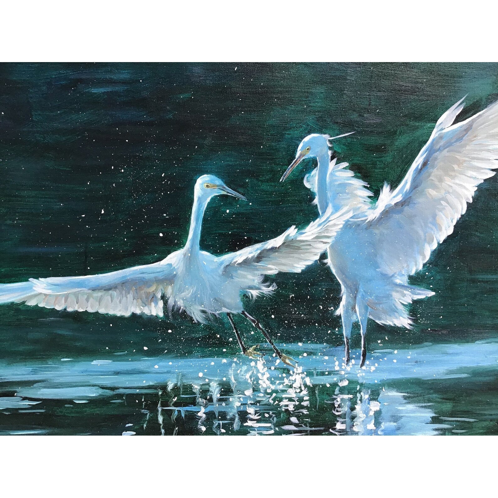 Loving Swans
