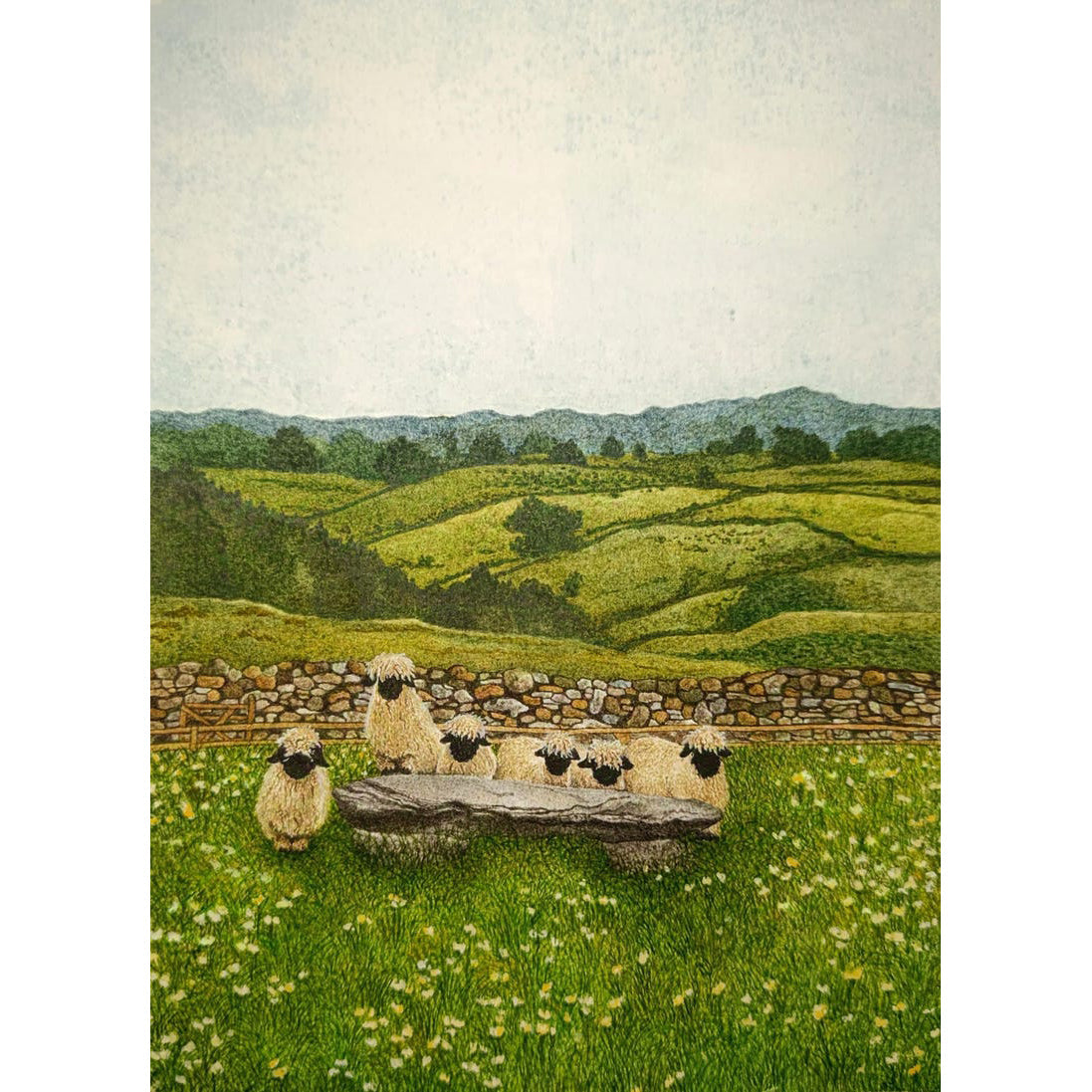 Sheep Brunch